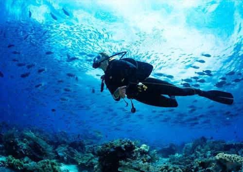 SDI / PADI diving course (Chinese Language)