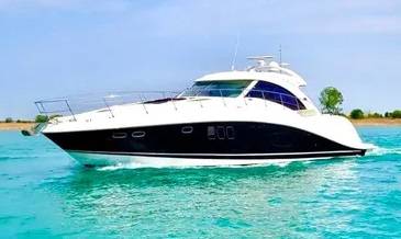 Western Pleasure Vessel 58
