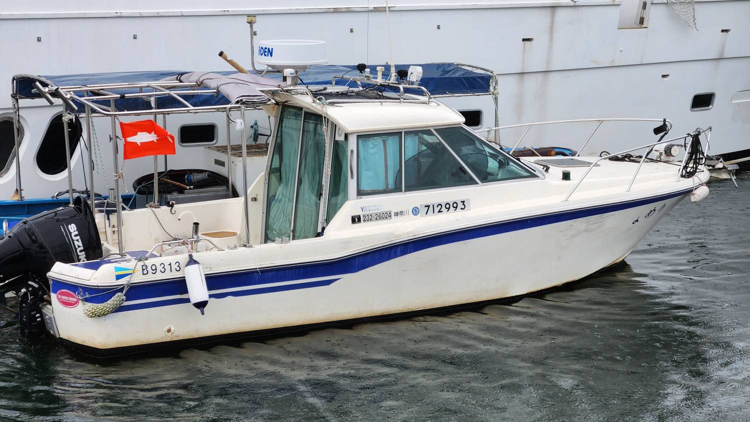 三小时维港深度游