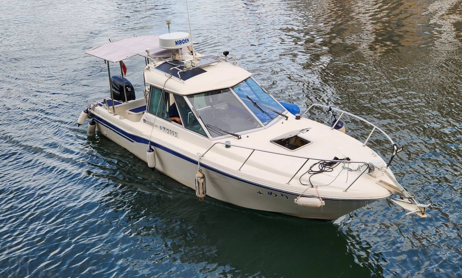 三小时维港深度游